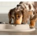 WeatherTech® Double Low Pet Feeding System with plastic bowls 32oz (4cups)