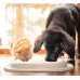 WeatherTech® Double Low Pet Feeding System with plastic bowls 32oz (4cups)